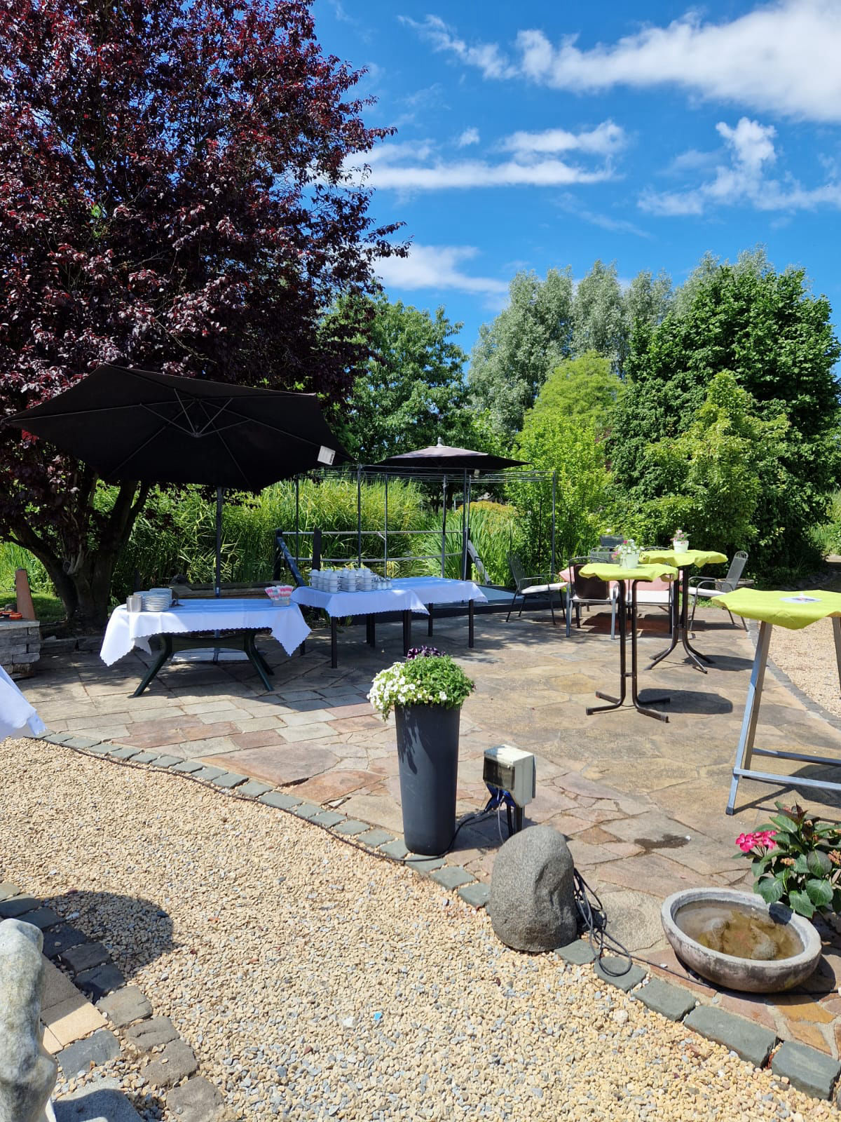 003c7b7a dc48 4a07 9df9 9b853cf05be6 1200x1600